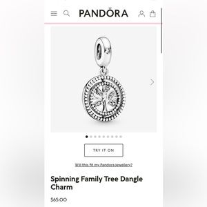 Pandora family is a circle of love charm with chain